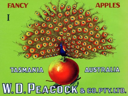 W.D. Peacock Fancy Apples