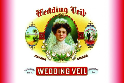 Wedding Veil