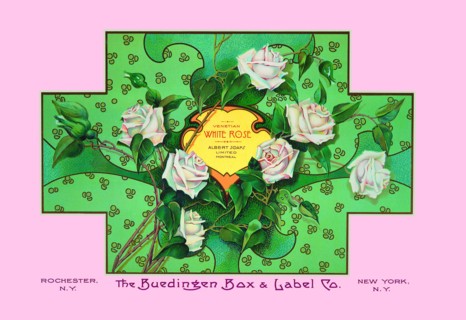 White Rose Soap 1900