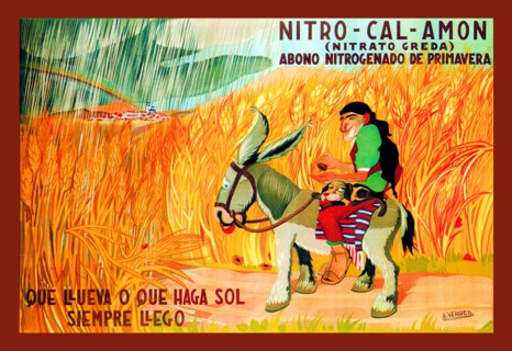Nitro-Cal-Amon 1925