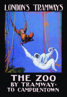 Zoo Monkeys