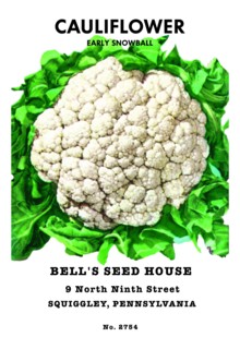 Cauliflower: Early Snowball