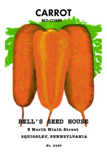 Carrot: Red Cored