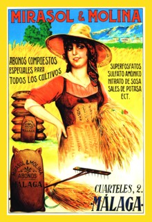 Mirasol and Morina 1900