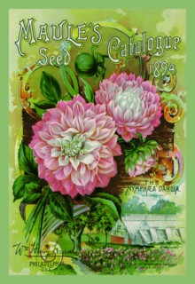 Maule's Seed Catalogue, 1894 1894