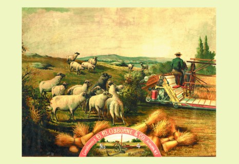 Osborne - Sheep with Grain Binder 1888