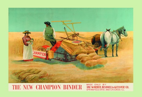 New Champion Binder