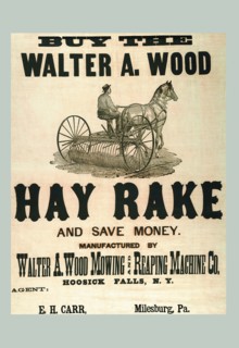 Buy the Walter A. Wood Hay Rake