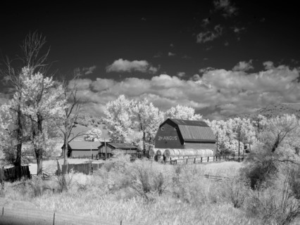 Barn, rural Montana 2007