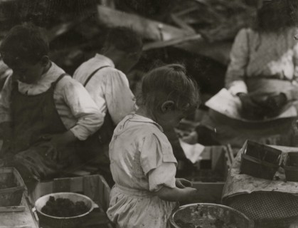 3 year old girl and 2 boys hulling berries at Johnson's Canning Camp 1910