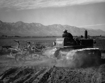 Benji Iguchi driving tractor in field 1943