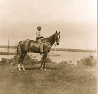 Gen. Rawlin's horse taken at Cold Harbor, Va. 1863