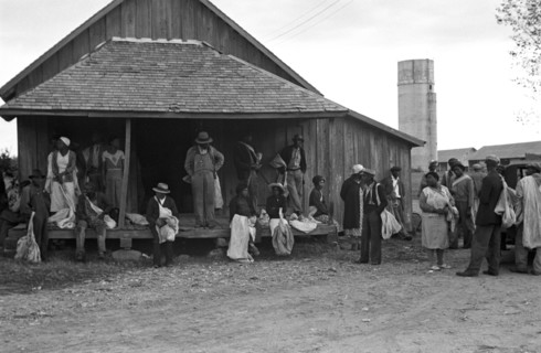 African American Cotton Pickers 1935
