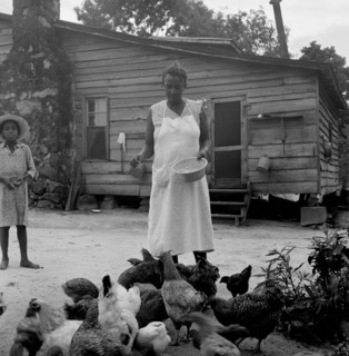 African American woman feeds chicks outside of her cabin while a young girl looks on 1939
