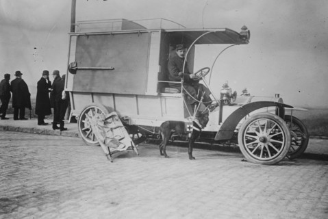 Max - Red Cross dog and Dedietrich Auto