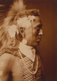 Antelope Cap 1904