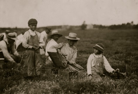 Arthur Fernande. Said 8 years old. Picking cranberries by hand, and brother Charlie said he was 9 picking with a scoop.  1911