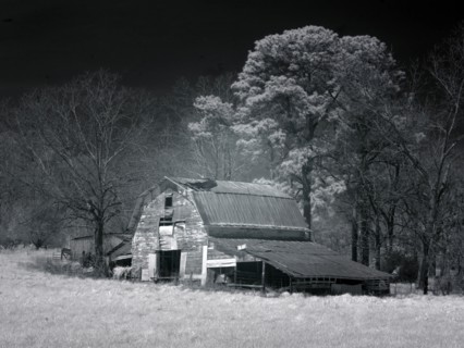 Barn, Dothan, Alabama 2010