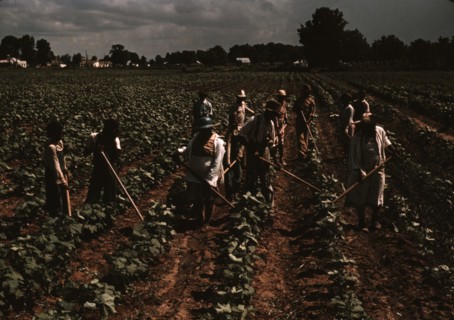 Bayou Bourbeau plantation operated by Bayou Bourbeau Farmstead Association, a cooperative established through the cooperation of FSA, Natchitoches, La. 1940