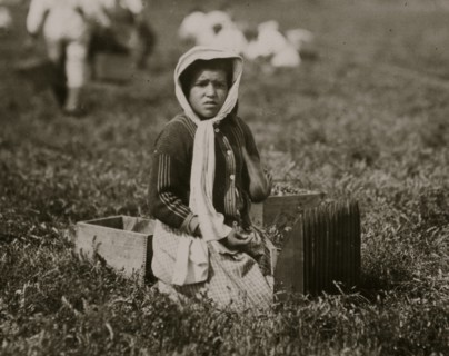 Bessie Gonsalve, Said she was 11. Picking and carrying cranberries.  1911