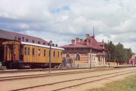 Orange European 1911