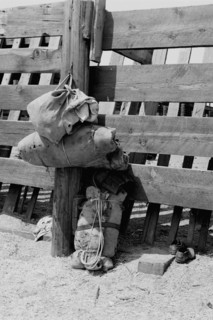 Bundles Against Cattle Corrals 1939