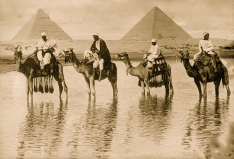 Camel men & pyramids, Egypt