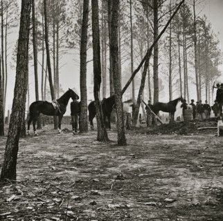Cavalry detail at Gen. Adelbert Ames headquarters 1863