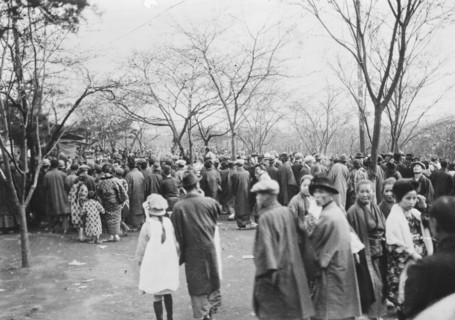 Cherry Blossom Crowds