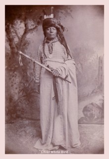 Chief White Bird