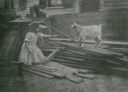 Child feeds a sheep at Back-yard, Spruce Street, Providence, R.I.  1912