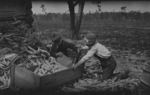 Children thrashing corn during school hours on a farm near Dublin. Many such light occupations fall to the lot of the Georgia child. 1915