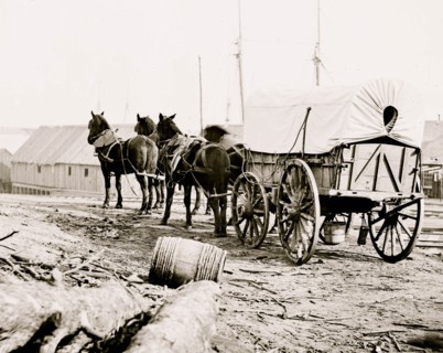 City Point, Virginia (vicinity). Four-mule army team and wagon 1865