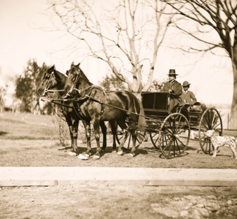 City Point, Virginia Gen. Rufus Ingalls in buggy with colored boy 1865