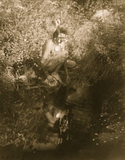The drink 1905