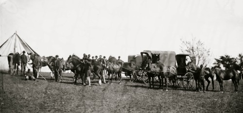 Culpeper, Virginia. Capt. Pierce's private horses, wagons, etc. 1863