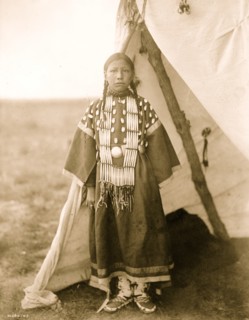 Rosa Lame Dog 1905