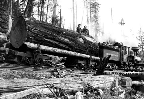 Transporting Fallen Old Growth 1920