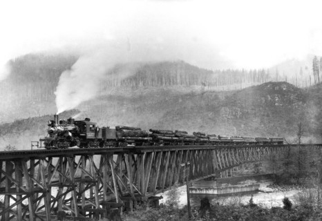 Logs to Market 1920