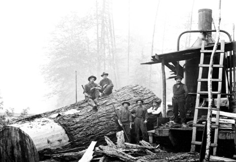 Lumber Break 1920