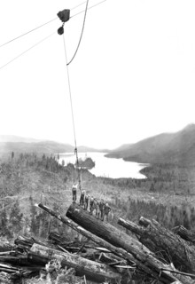 Logging Scene 1920