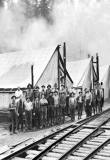 Logging Camp 1920