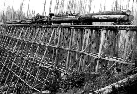 Bridge of Trees 1920