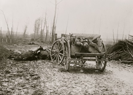 Dead German Artilleryman