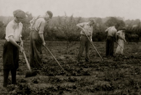 Farming when not delivery dairy Products 1916