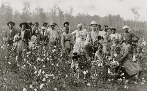 The cotton planter and his pickers 1908