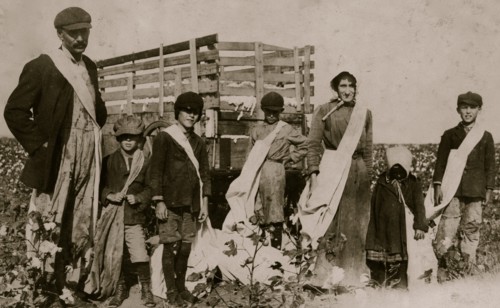 A Family of Cotton Pickers 1916