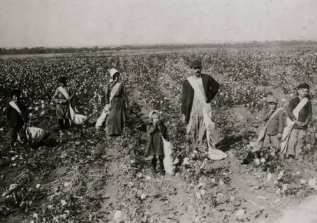 A Family of Cotton Pickers 1916