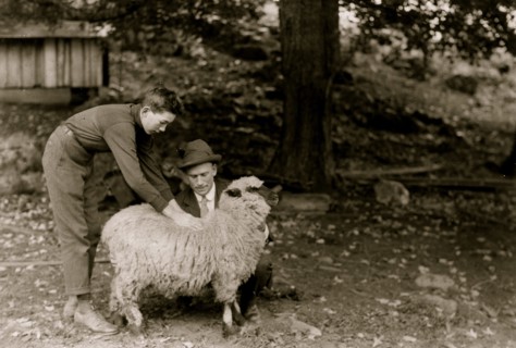 Forest Kellison, 4 H Club Member raising a sheep. Examining the quality of the fleece under direction of Harold Willey, Farm Bureau Agent. 1921