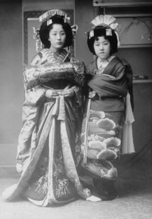 Geisha Beauties